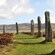 Large slabs of stone jutting out of grass covered ground in a circular pattern